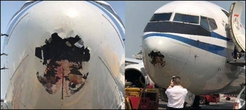 This is what happens when a plane collides with a bird