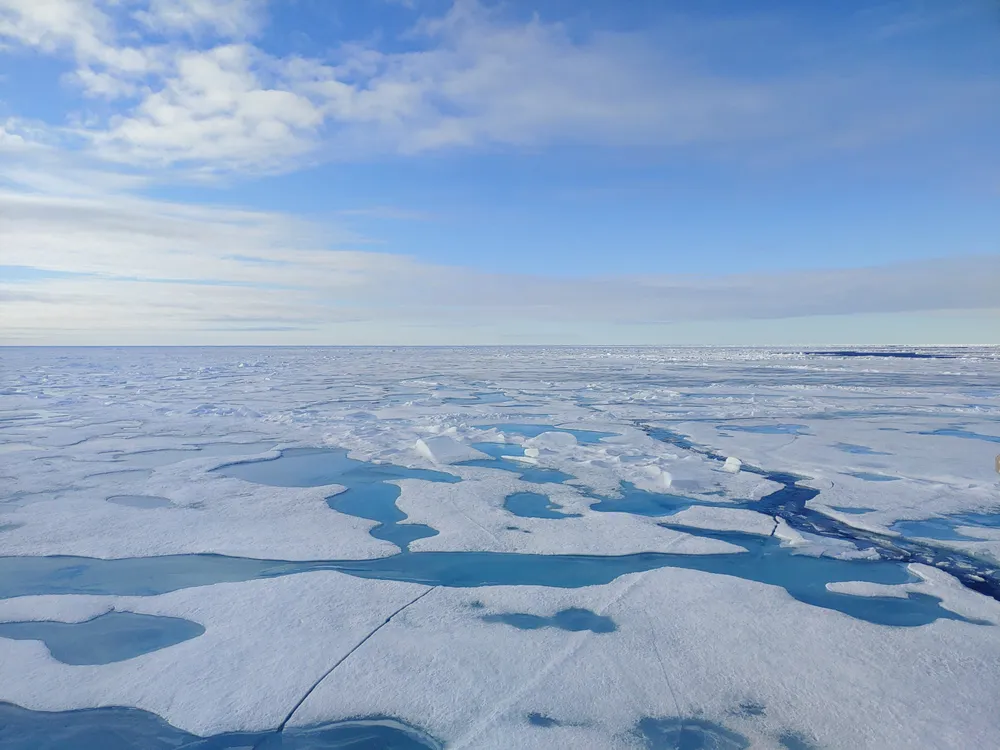 The Arctic Could Have an Ice-Free Day Within Just 3 Years