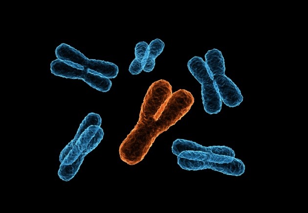 Men are slowly losing their Y chromosome